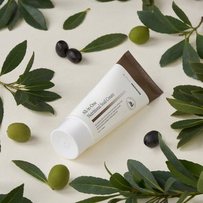 PAUL MEDISON All-in-One Nutritional Snail Cream 100ml - Daebak