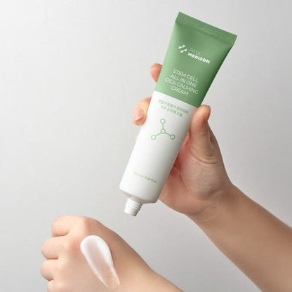 PAUL MEDISON STEM CELL ALL IN ONE CICA CALMING CREAM 100ml - Daebak