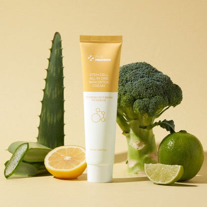 PAUL MEDISON STEM CELL ALL IN ONE SKIN DETOX CREAM 100ml - Daebak