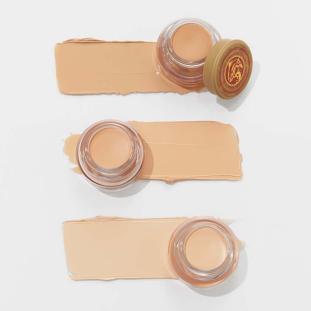 SKINFOOD Salmon Dark Circle Concealer Cream 10g