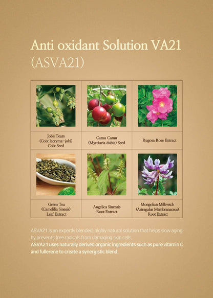 Relaco VA21 PREMIUM PURE VITAMIN C SERUM SET (14ml X 3ea) - Daebak