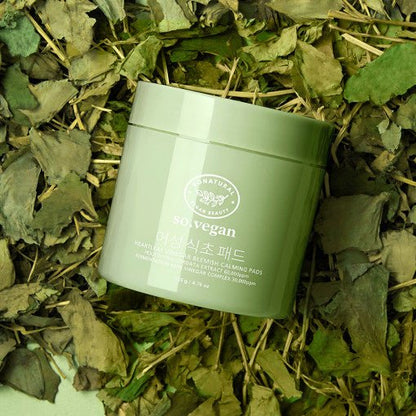 [so natural] So Vegan Heartleaf Vinegar Blemish Calming Pads 70pads 135g - Daebak