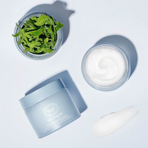 [so natural] So Vegan Ice Plant Water Cream 70ml - Daebak