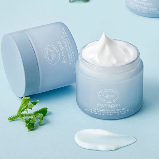 [so natural] So Vegan Ice Plant Water Cream 70ml - Daebak