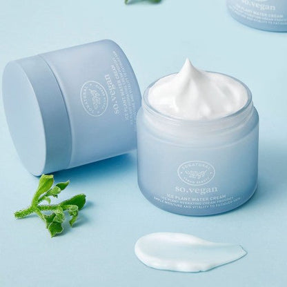 [so natural] So Vegan Ice Plant Water Cream 70ml - Daebak