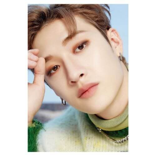 STRAY KIDS [D'Festa] 3D Lenticular DICON - Daebak