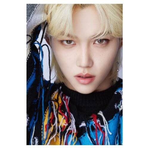 STRAY KIDS [D'Festa] 3D Lenticular DICON - Daebak