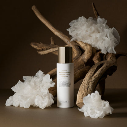 SUNGBOON EDITOR Youngran White Mushroom Collagen Lifting Facegloss 30ml - Daebak