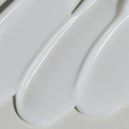 [THE LAB by BLANC DOUX] PREBIOTIC-CERA Cream 50ml - Daebak