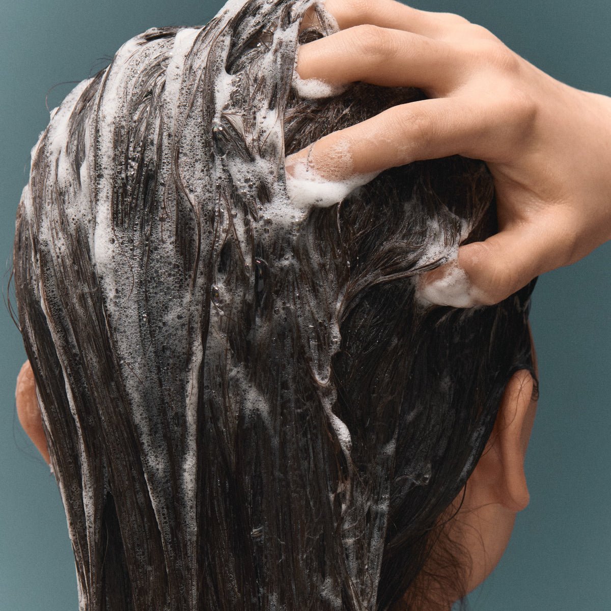 The Matcha Rinse - Thickening Shampoo - Daebak