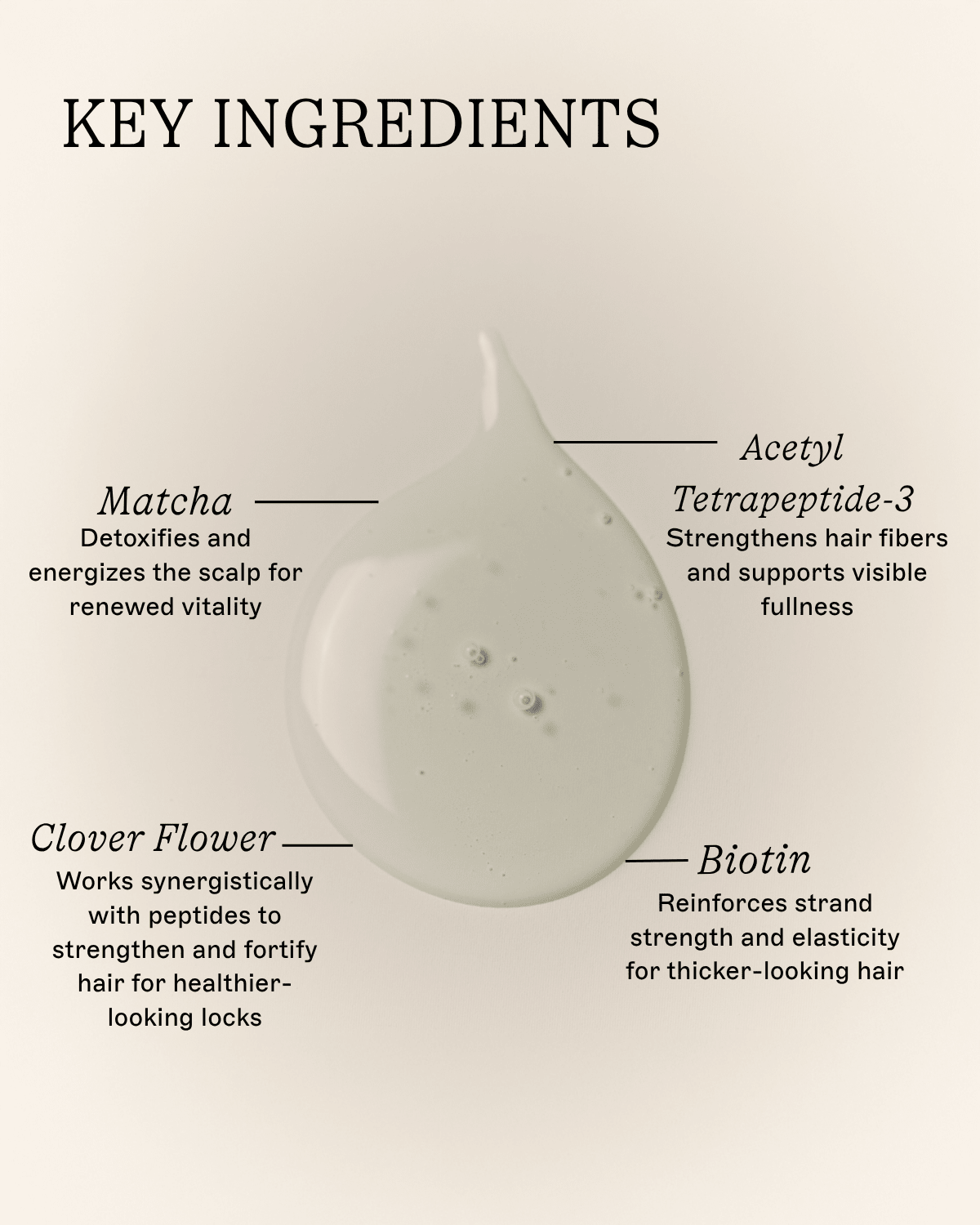 The Matcha Rinse - Thickening Shampoo - Daebak