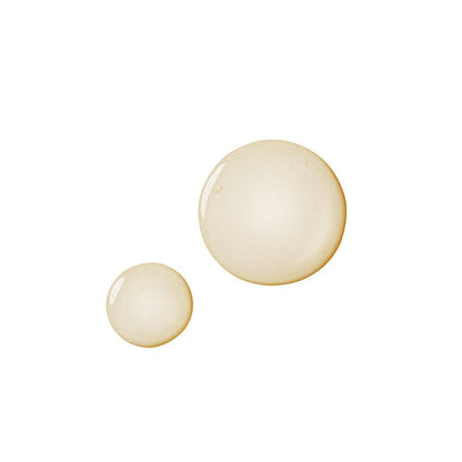 The SAEM True Mushroom LX Treatment Toner 120ml - Daebak