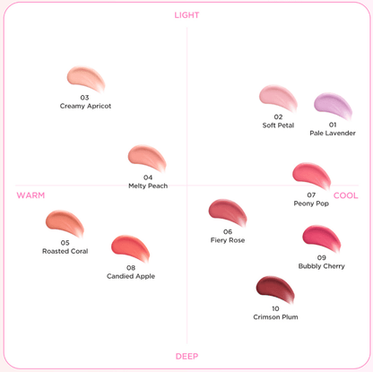 TIRTIR Airy Bloom Mesh Blush 5g (10colors) - Daebak