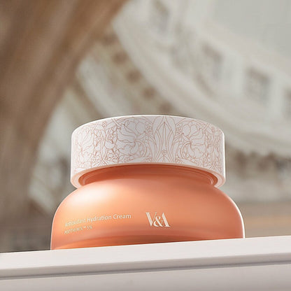 V&A BEAUTY Antioxidant Hydration Cream 50ml - Daebak