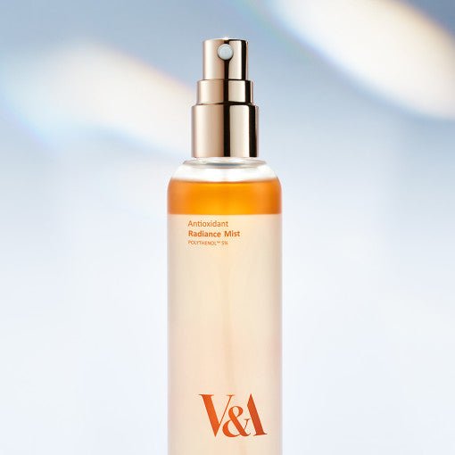 V&A BEAUTY Antioxidant Radiance Mist 100ml - Daebak