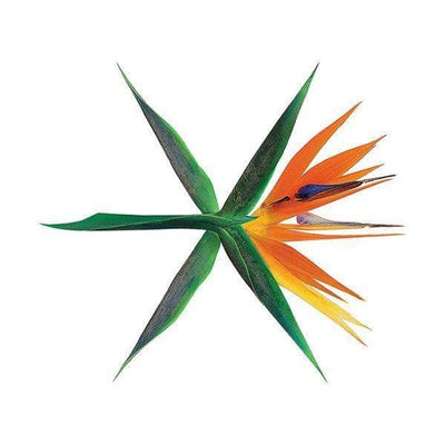 EXO - THE WAR (4th Album) - Daebak