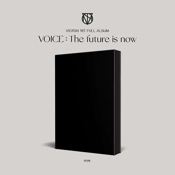 (最後の在庫!) VICTON - VOICE: The future is now (1st Album)