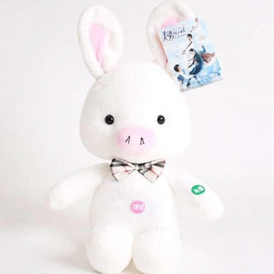 You're Beautiful / Pig Rabbit (35cm) - Daebak